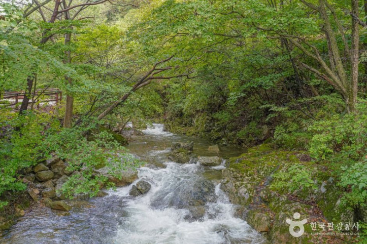 국립_운장산자연휴양림_4_공공1유형.jpg