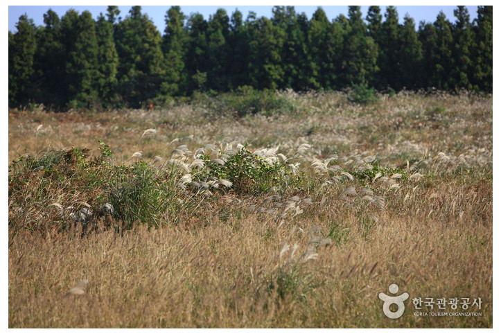 거문오름_8_공공3유형.jpg