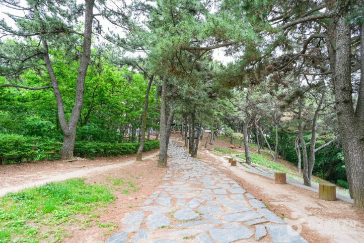 장무공원_2_공공1유형.jpg