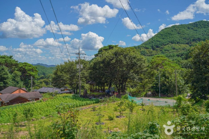 다옴농촌체험휴양마을_2_공공1유형.jpg
