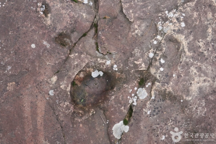 천전리공룡발자국화석_7_공공3유형.JPG