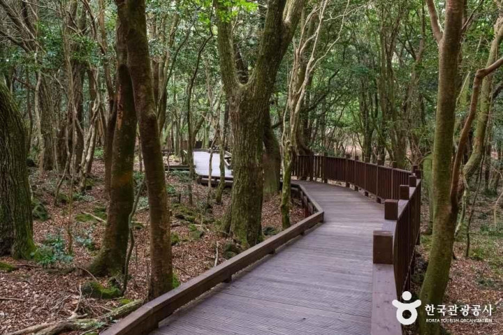 서귀포_치유의_숲_1_공공1유형.jpg
