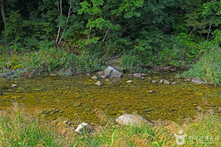 연가리계곡_6_공공3유형.JPG