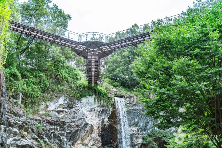 도덕산_출렁다리_1_공공1유형.jpg