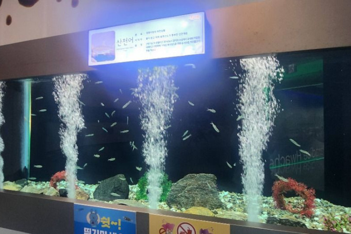 토속어류생태체험관_1_공공3유형.jpg