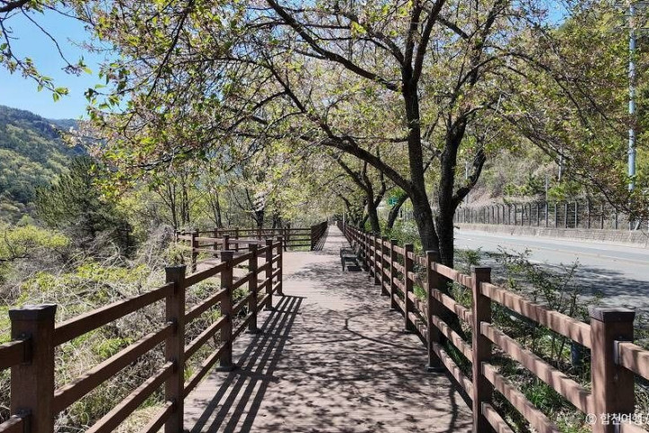 백리벚꽃길_6_공공3유형.jpg