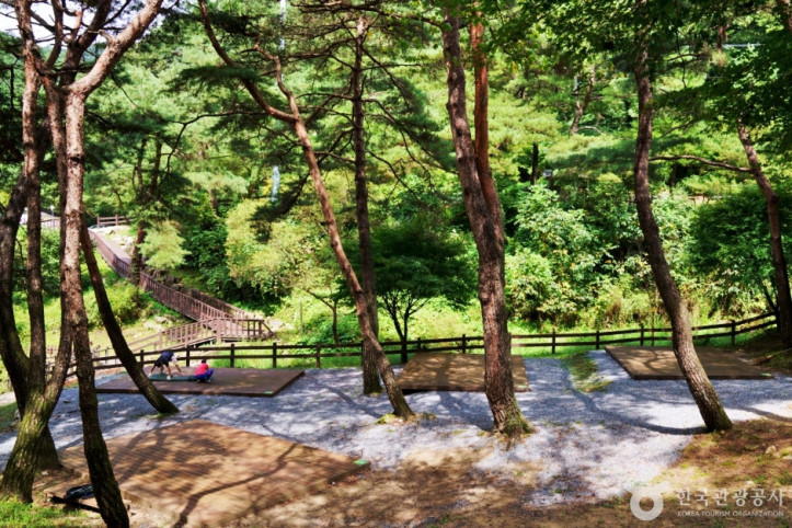 박달재자연휴양림_6_공공3유형.JPG