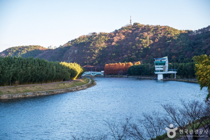 태화강_5_공공1유형.jpg