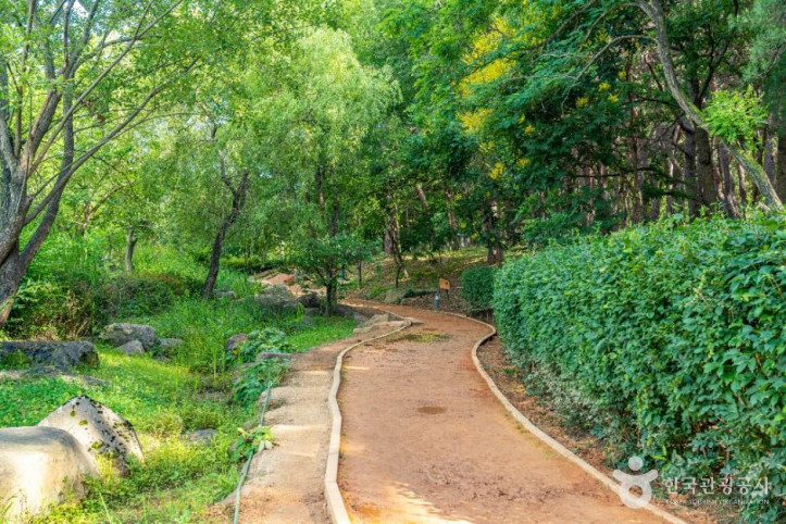 천년숲_8_공공1유형.jpg
