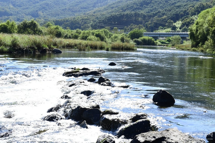 보성강_2_공공3유형.jpg