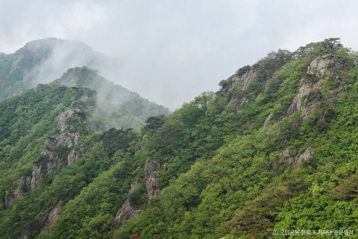 계룡산국립공원_6_공공3유형.jpg