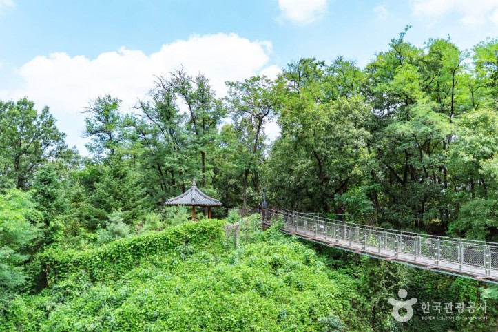 도덕산_출렁다리_5_공공1유형.jpg