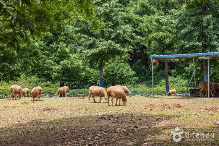 늘솔길공원양떼목장_3_공공1유형.jpg