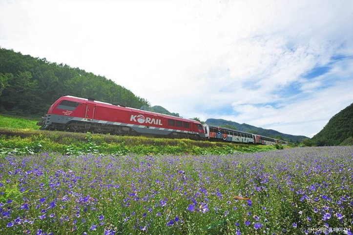 정선아리랑열차(A-train)_3_공공3유형.jpg