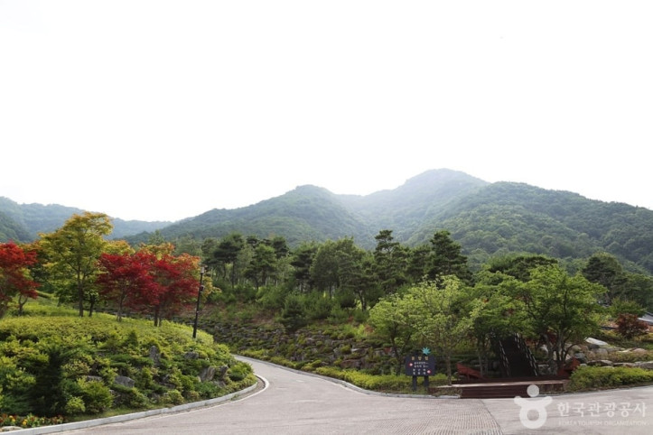 동의보감촌한방자연휴양림_1_공공3유형.JPG