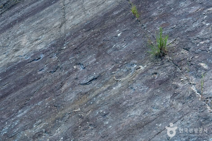 신성리_공룡발자국_2_공공1유형.jpg