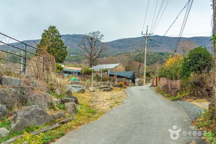 화순_수만리들국화마을_3_공공1유형.jpg