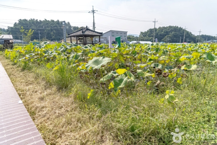 풍호마을_9_공공3유형.jpg