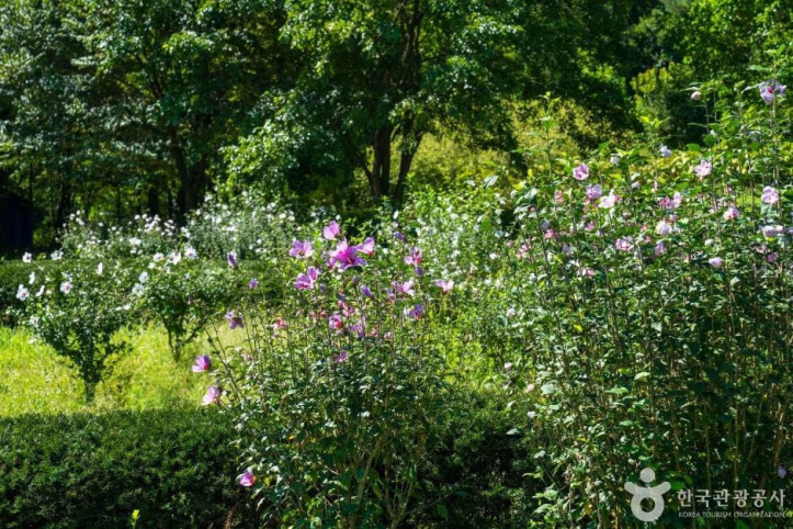 무궁화수목원_3_공공1유형.jpg