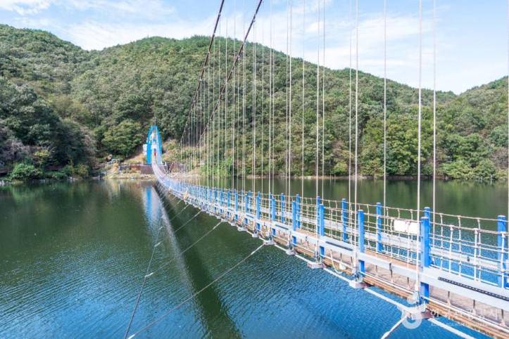 천장호_출렁다리_4_공공1유형.jpg