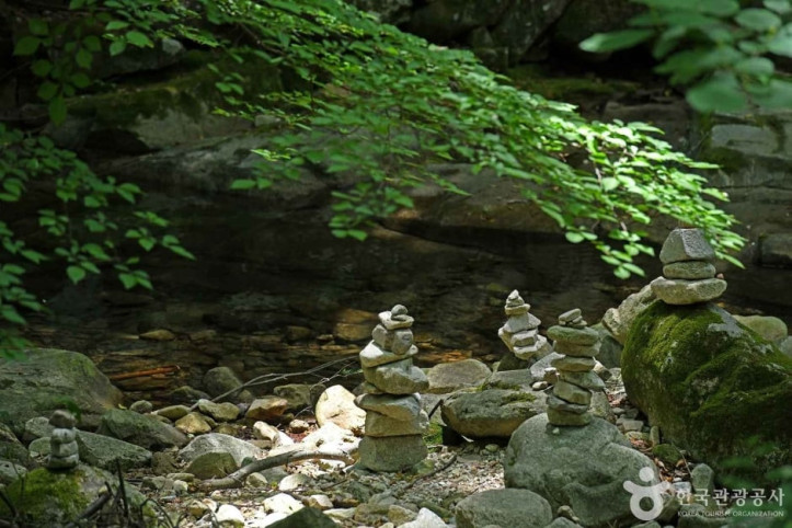 동학사계곡_2_공공3유형.jpg