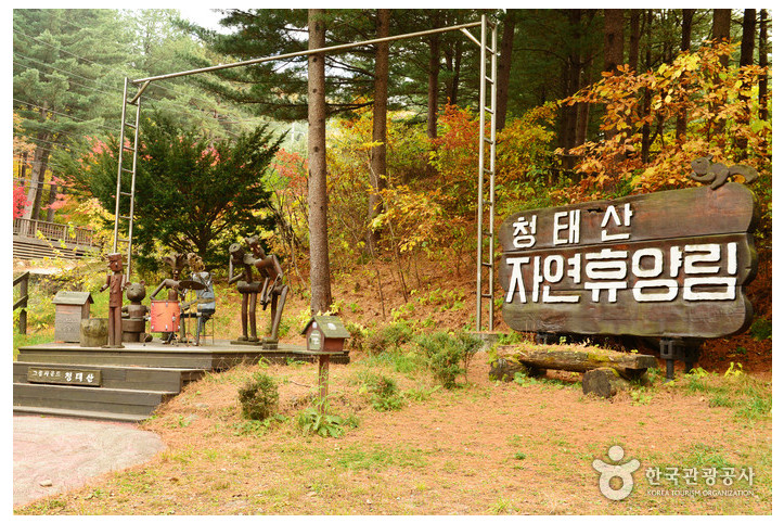 국립_청태산자연휴양림_1_공공3유형.jpg