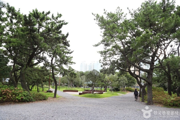 송림공원_2_공공3유형.JPG