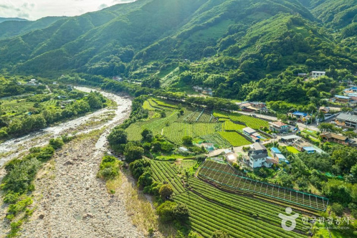 하동_삼신녹차마을_3_공공1유형.jpg