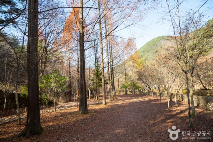 상소동_산림욕장_9_공공3유형.jpg