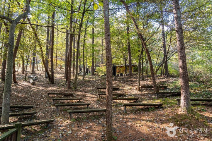 덕동생태숲_3_공공1유형.jpg
