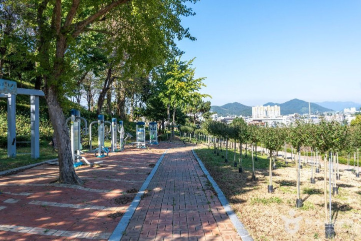 장성무궁화공원_2_공공1유형.jpg