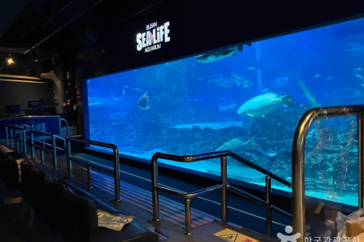 씨라이프부산아쿠아리움_2_공공3유형.jpg