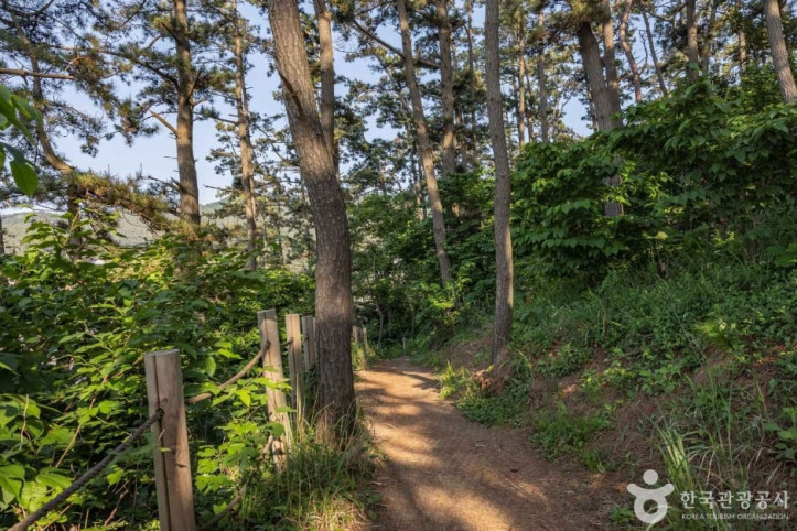 뭍닭섬_산책로_2_공공3유형.jpg