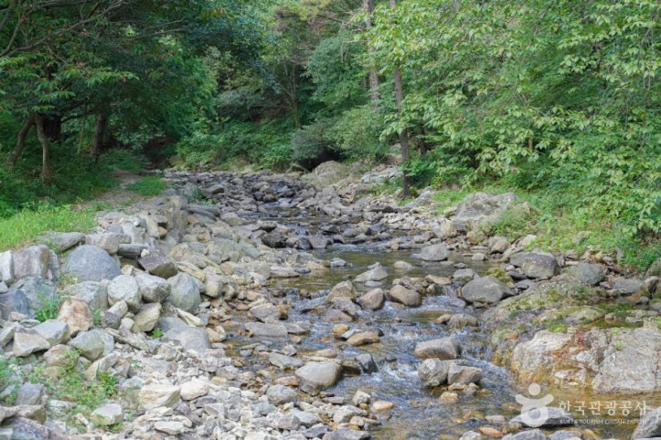 한재골_계곡_3_공공1유형.jpg