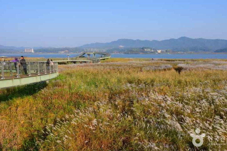 신성리_갈대밭_1_공공1유형.jpg
