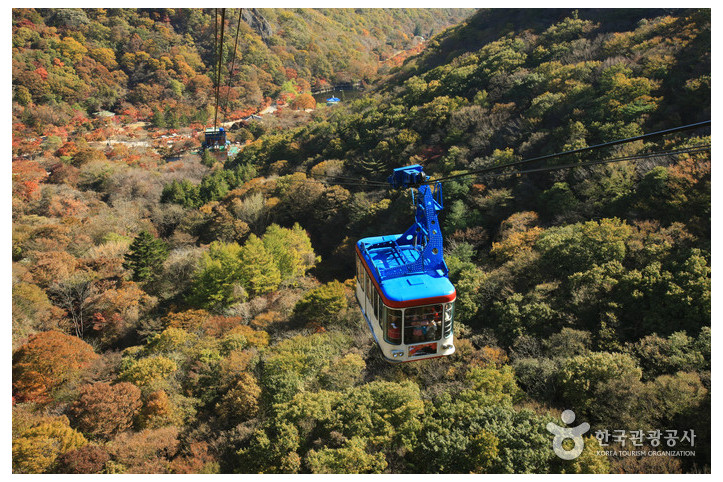 내장산_케이블카_3_공공3유형.jpg