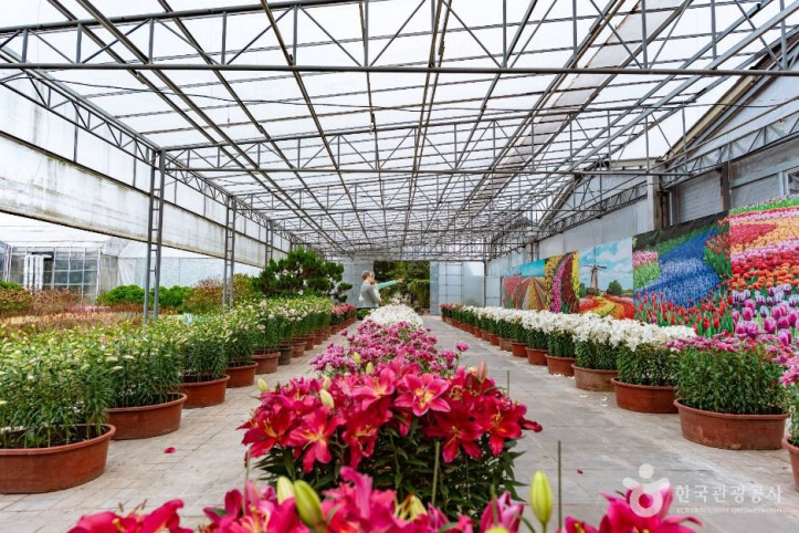세계꽃식물원_3_공공1유형.jpg