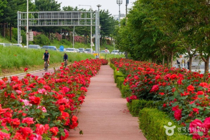 중랑장미공원_6_공공1유형.jpg
