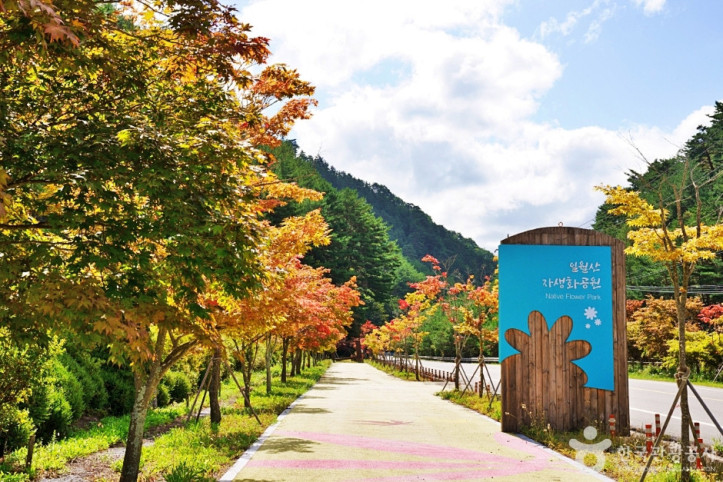 일월산_자생화공원_4_공공3유형.JPG