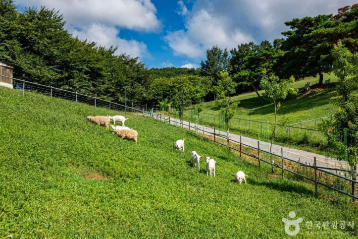 칠곡양떼목장_3_공공3유형.jpg