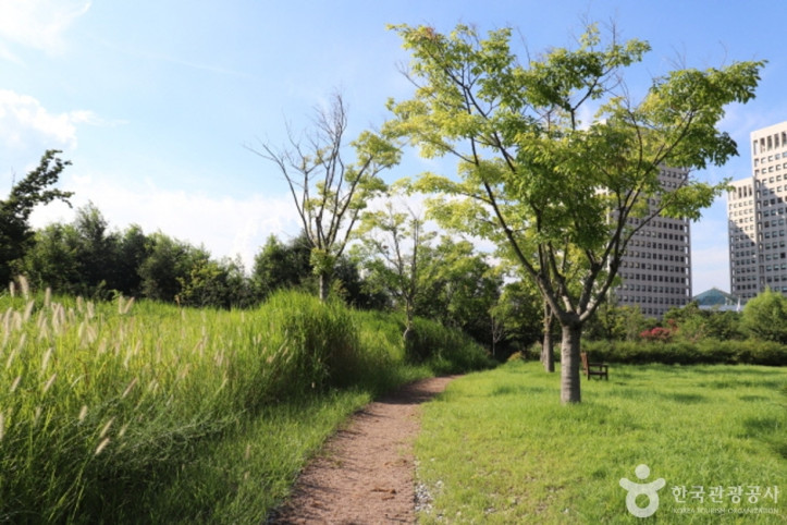 정부대전청사_자연마당_3_공공3유형.JPG