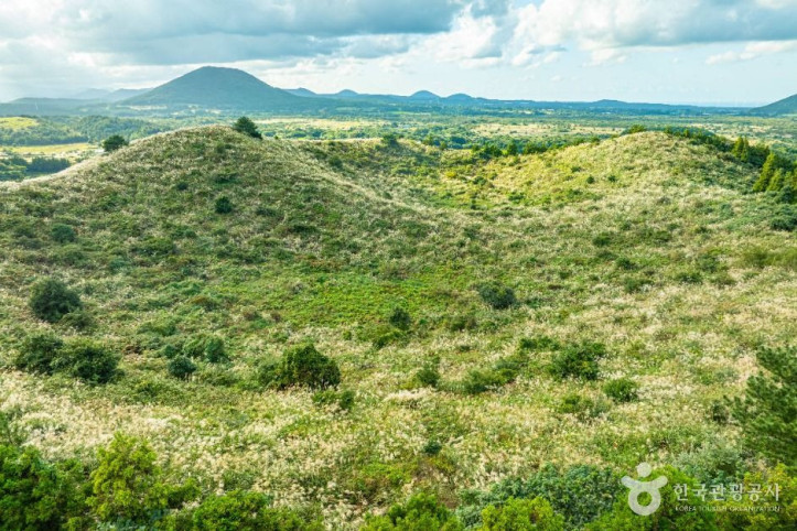 손지오름_4_공공1유형.jpg