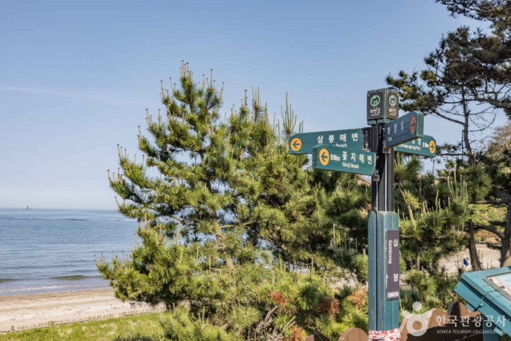 삼봉해수욕장_2_공공3유형.jpg