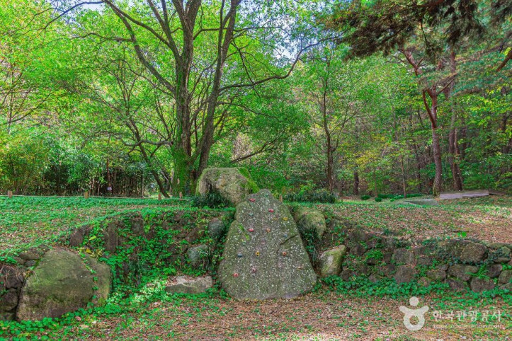 제봉산_마법의_숲_체험원_3_공공1유형.jpg