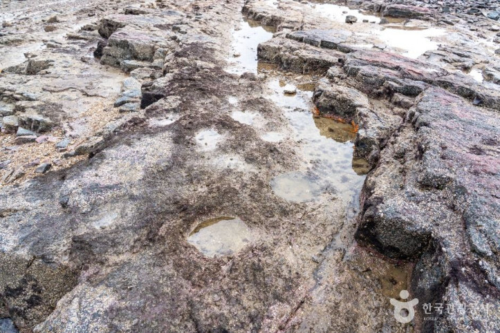 맨삽지(학성리_공룡발자국화석)_5_공공1유형.jpg
