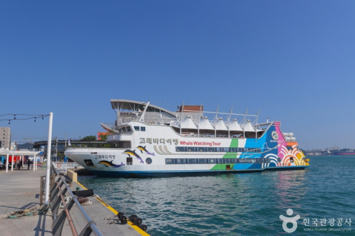 장생포_고래바다여행선_2_공공3유형.jpg
