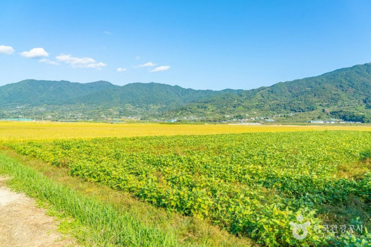 평사리들판_3_공공1유형.jpg