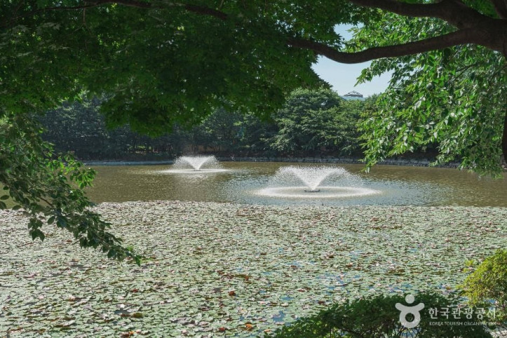 안흥유원지_1_공공1유형.jpg