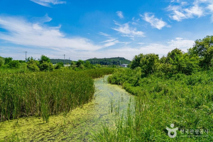 비봉습지공원_3_공공1유형.jpg