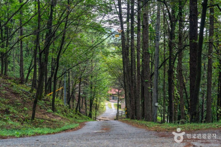 학가산자연휴양림_4_공공1유형.JPG